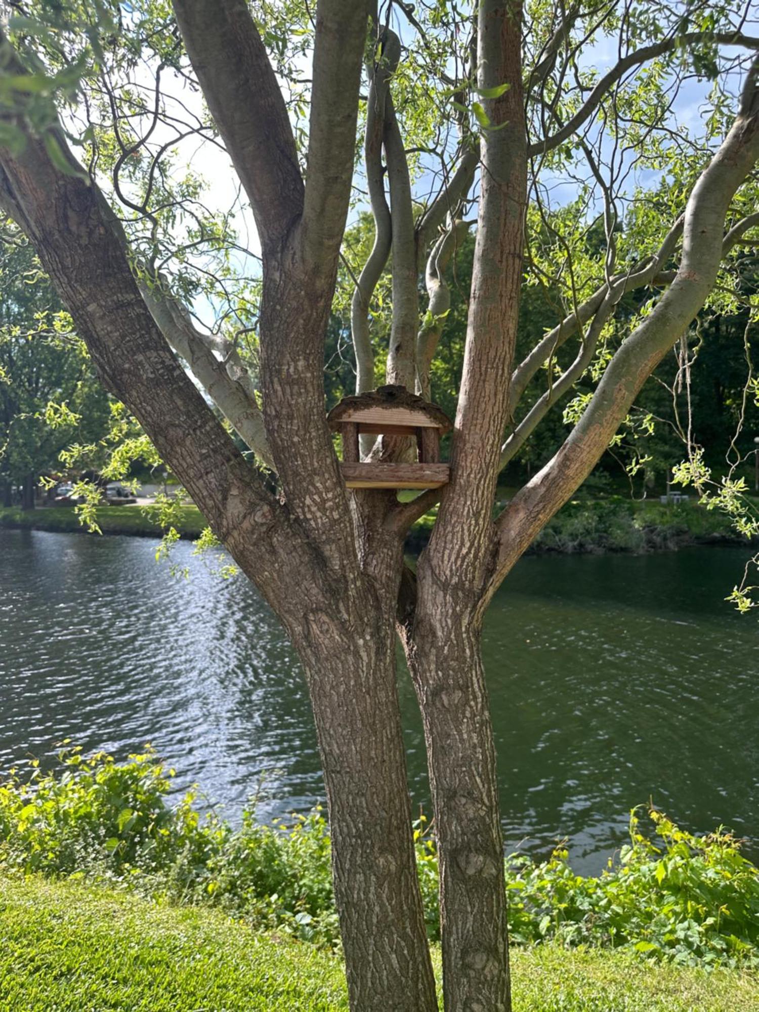 Nature E Spa Al - Termas Saude E Beleza, Totalmente Renovado - Piscinas Municipais Em Frente - Epoca Julho A Setembro Sao Pedro do Sul Luaran gambar